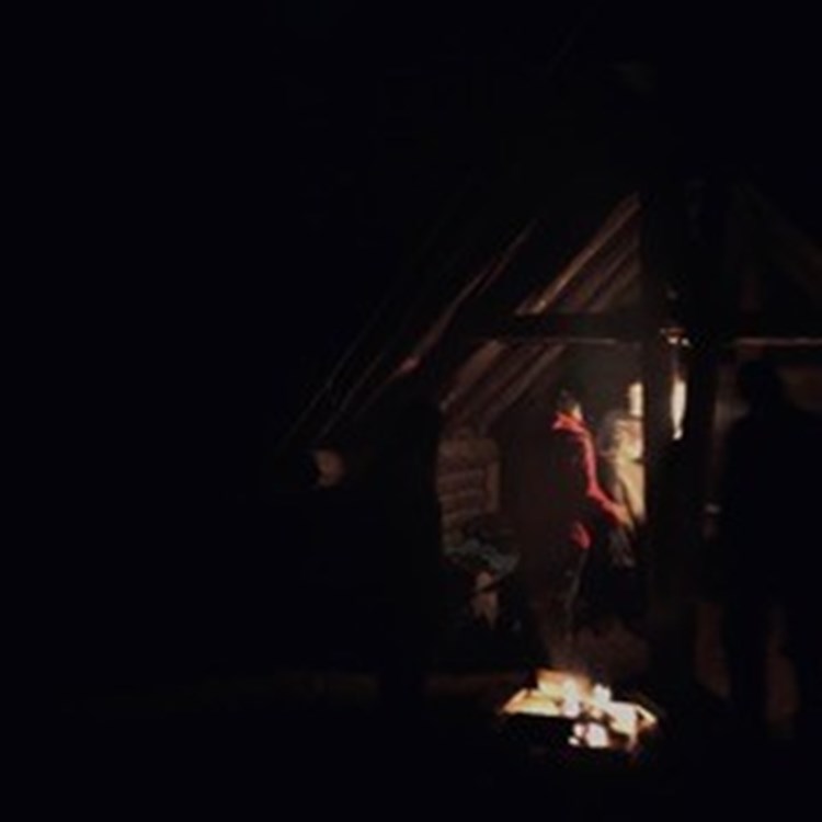 In the dark, dark forest